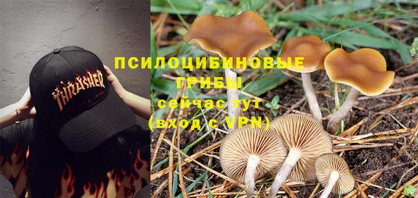 сатива Алексеевка