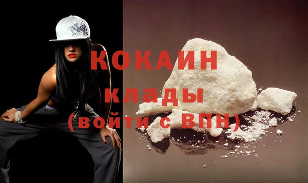 дживик Аркадак
