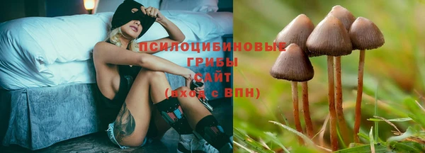 гидра Алзамай