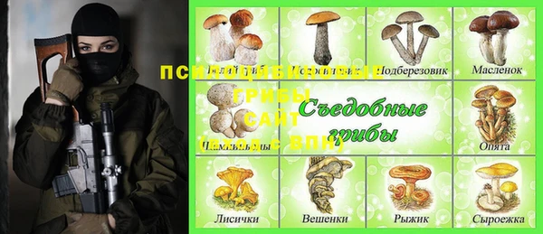 гидра Алзамай