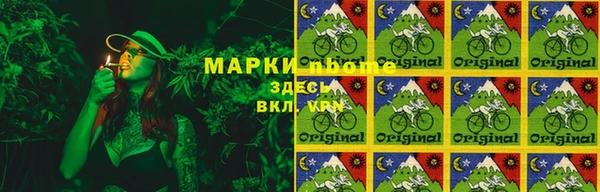 прущие грибы Арсеньев