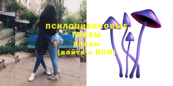 прущие грибы Арсеньев