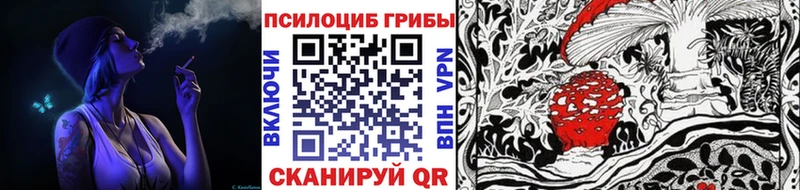 Псилоцибиновые грибы Psilocybe  shop клад  Колпашево 